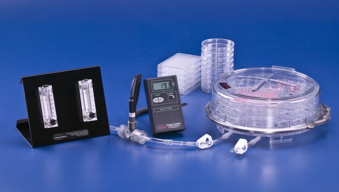 Brincubator Family shot